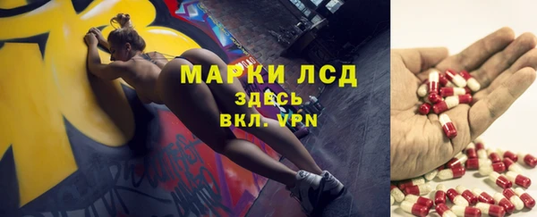 твердый Аркадак