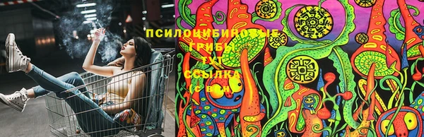 твердый Аркадак
