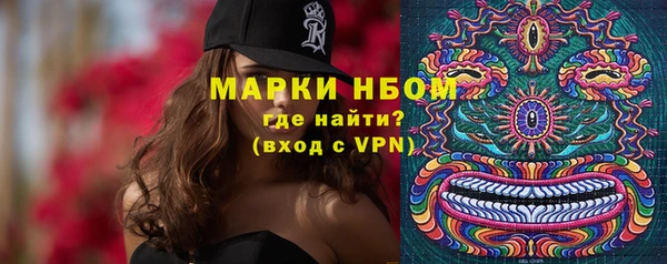 твердый Аркадак