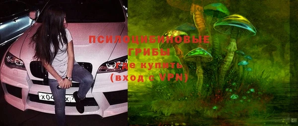 твердый Аркадак